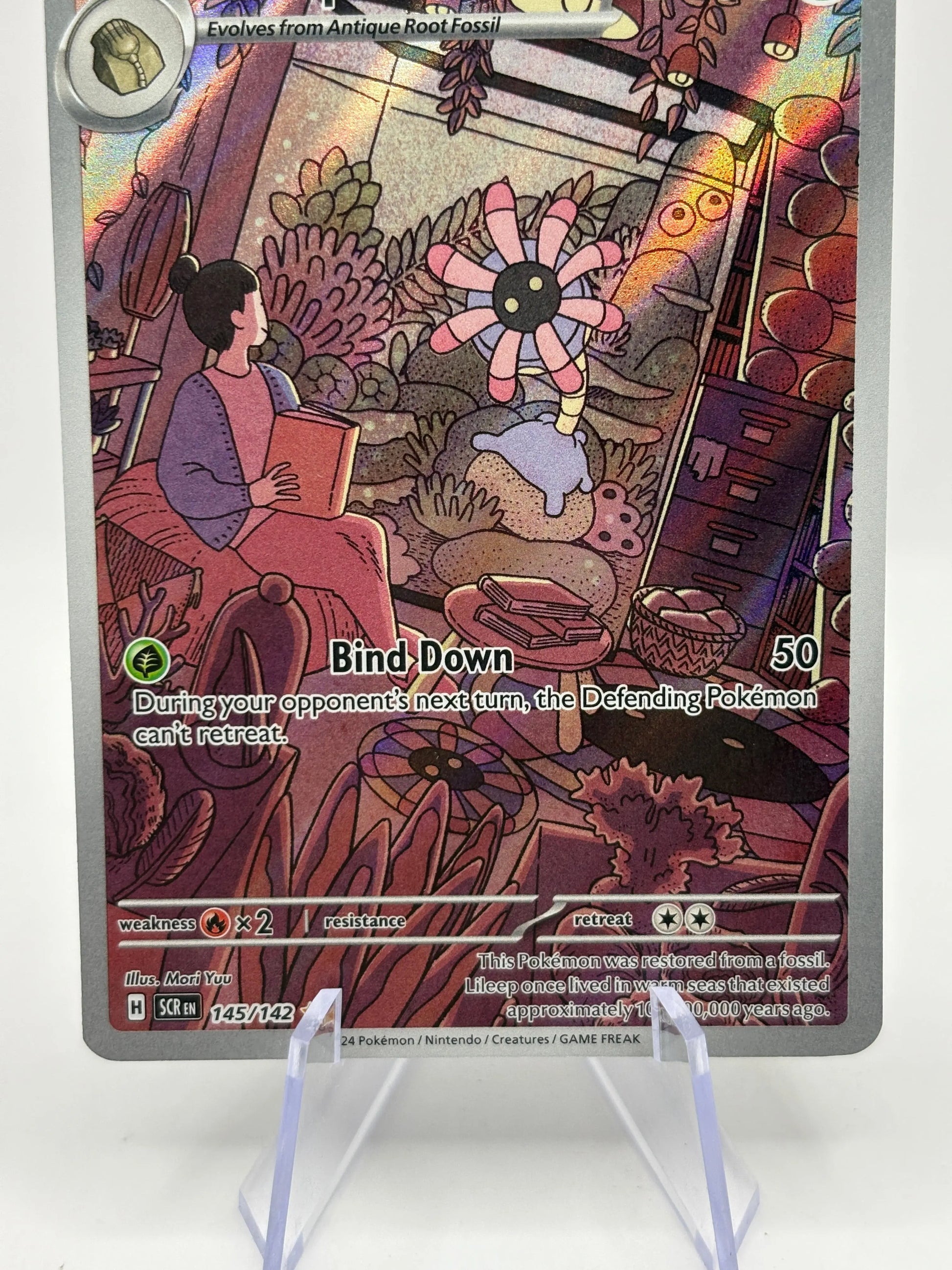 Pokemon TCG Stellar Crown - Lileep 145/142 Art Rare NM FRENLY BRICKS - Open 7 Days