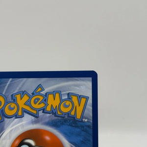 Pokemon TCG Stellar Crown - Lileep 145/142 Art Rare NM FRENLY BRICKS - Open 7 Days