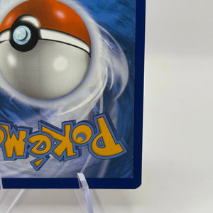 Pokemon TCG Stellar Crown - Lileep 145/142 Art Rare NM FRENLY BRICKS - Open 7 Days