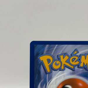 Pokemon TCG Stellar Crown - Squirtle 148/142 Art Rare NM FRENLY BRICKS - Open 7 Days