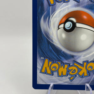 Pokemon TCG Stellar Crown - Squirtle 148/142 Art Rare NM FRENLY BRICKS - Open 7 Days