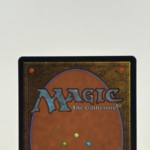 Magic The Gathering Vintage 1996 - Lake of The Dead Land LP FRENLY BRICKS - Open 7 Days