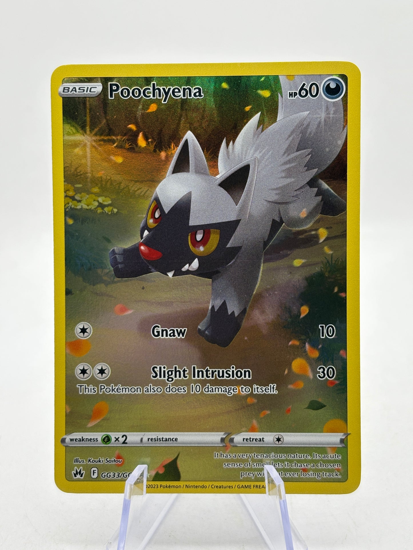Pokemon TCG Crown Zenith - Poochyene GG33/GG70 Full Art NM