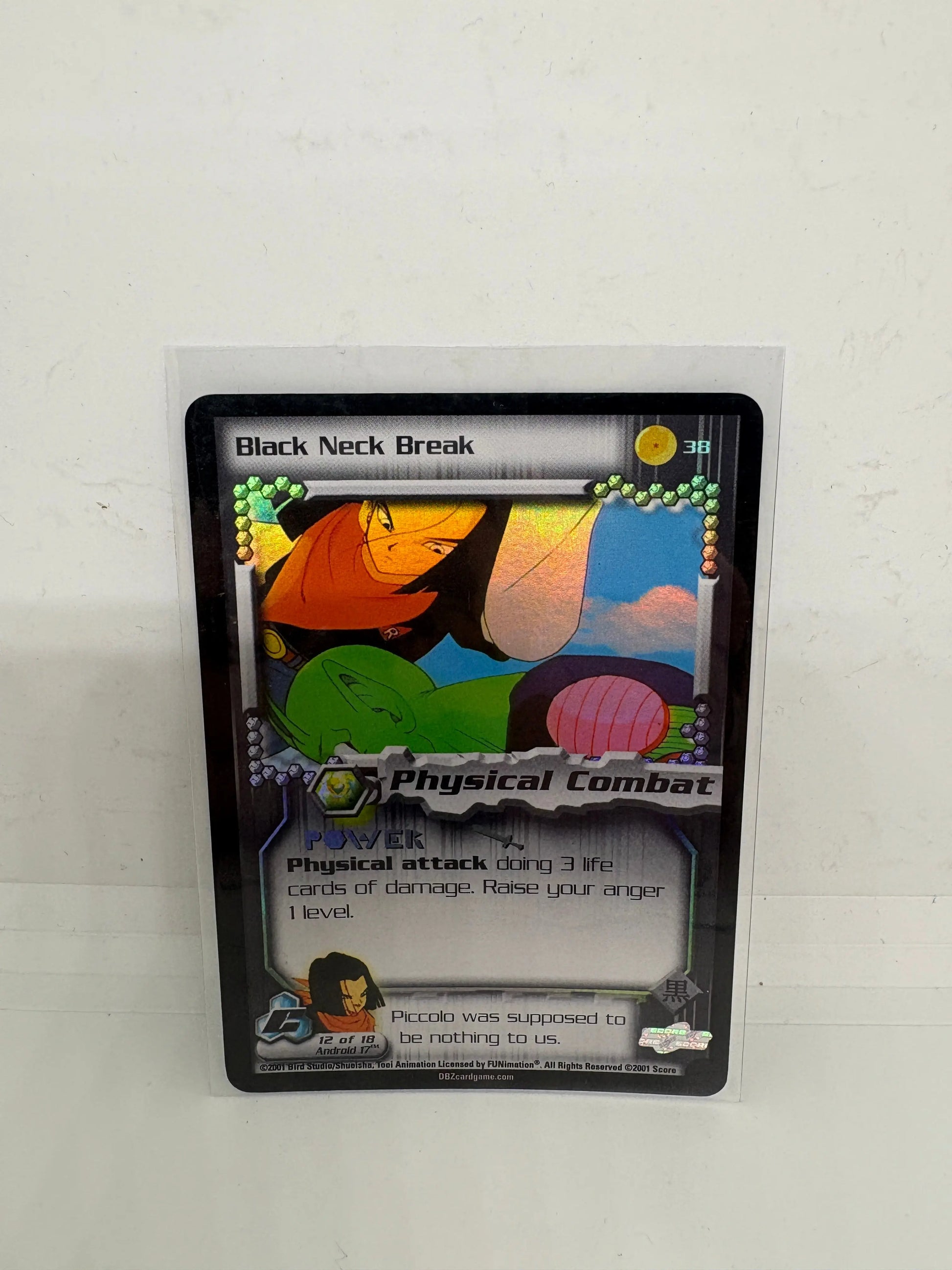 DragonBall Z Black Neck Break 2001 Holo LP FRENLY BRICKS - Open 7 Days