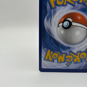 Pokémon TCG Lucario Vstar Sword & Shield Swsh291 Holo Promo NM FRENLY BRICKS - Open 7 Days