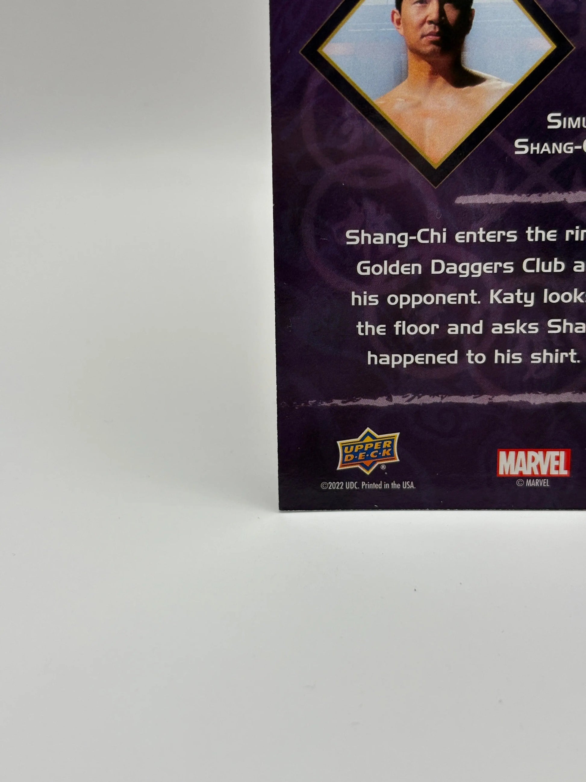 2023 Marvel Shang-Chi and The Legend of Ten Rings  2/10 Simu Liu as Shang-Chi FRENLY BRICKS - Open 7 Days