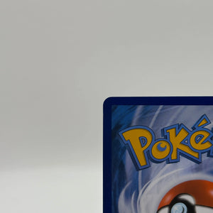 Pokémon TCG Lucario Vstar Sword & Shield Swsh291 Holo Promo NM FRENLY BRICKS - Open 7 Days