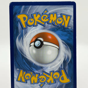 Lance's Charizard V SWSH133 Black Star Promo Pokemon TCG MP FRENLY BRICKS - Open 7 Days