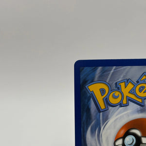 Pokemon XY Black Star Promo XY198 Mega M Camerupt EX NM FRENLY BRICKS - Open 7 Days