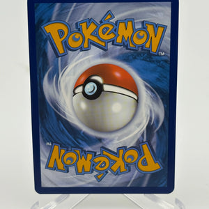 Turtwig GG31/GG70 Crown Zenith: Galarian Gallery Holo Pokemon TCG - NM (1) FRENLY BRICKS - Open 7 Days