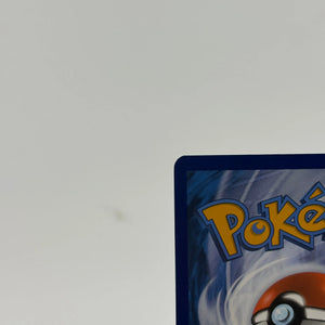 Turtwig GG31/GG70 Crown Zenith: Galarian Gallery Holo Pokemon TCG - NM (1) FRENLY BRICKS - Open 7 Days