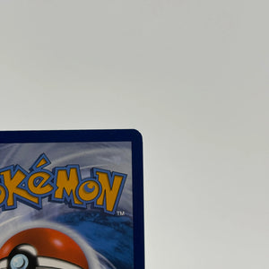 Turtwig GG31/GG70 Crown Zenith: Galarian Gallery Holo Pokemon TCG - NM (1) FRENLY BRICKS - Open 7 Days