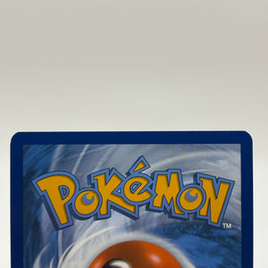 Pokemon TCG SVP Promos - Charizard EX SVP074 Black Star NM FRENLY BRICKS - Open 7 Days