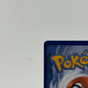 Turtwig GG31/GG70 Crown Zenith: Galarian Gallery Holo Pokemon TCG - NM (2) FRENLY BRICKS - Open 7 Days