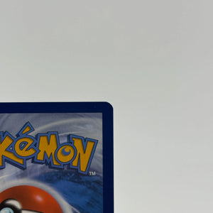 Turtwig GG31/GG70 Crown Zenith: Galarian Gallery Holo Pokemon TCG - NM (2) FRENLY BRICKS - Open 7 Days