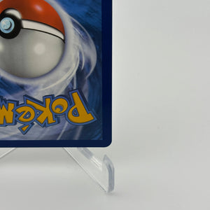 Turtwig GG31/GG70 Crown Zenith: Galarian Gallery Holo Pokemon TCG - NM (2) FRENLY BRICKS - Open 7 Days