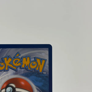 Charizard GX SM211 Promo SM Promos Pokemon Card NM FRENLY BRICKS - Open 7 Days