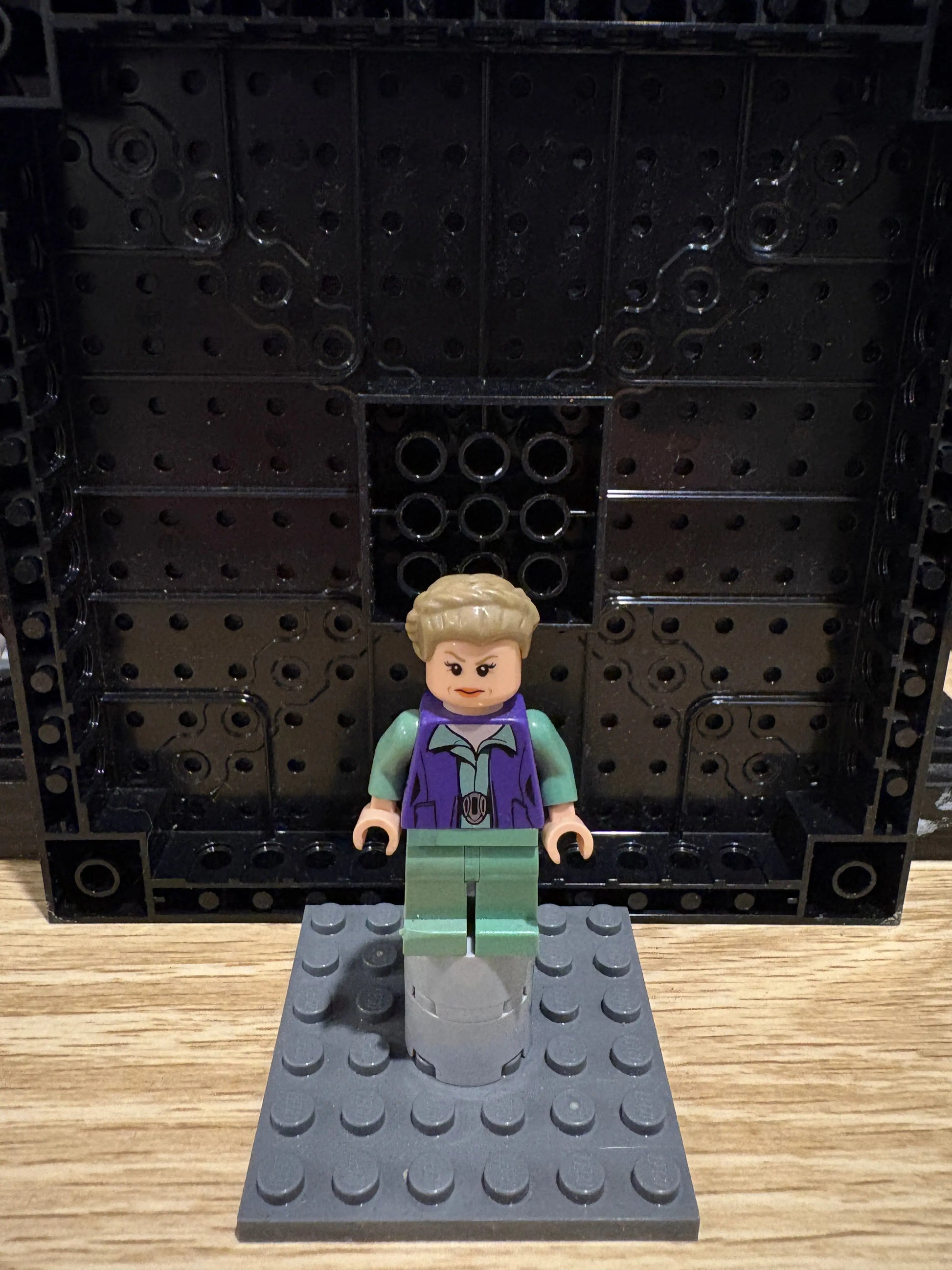 LEGO STAR WARS General Leia Minifigure (SW0718) FRENLY BRICKS - Open 7 Days