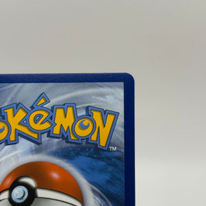 Pokemon TCG SWSH Promos - Lance’s Charizard V SWSH133 Black Star Promo NM FRENLY BRICKS - Open 7 Days