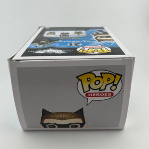 Funko POP Heroes The Dark Knight Rises Catwoman #21 Retired +Combinedshipping FRENLY BRICKS - Open 7 Days