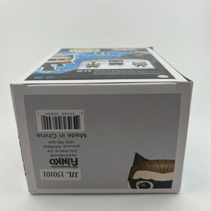 Funko POP Heroes The Dark Knight Rises Catwoman #21 Retired +Combinedshipping FRENLY BRICKS - Open 7 Days