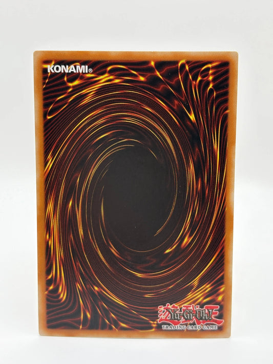 Yugioh - Droll and Lock Bird - Gold Rare - MAGO-EN006 - LP FRENLY BRICKS - Open 7 Days