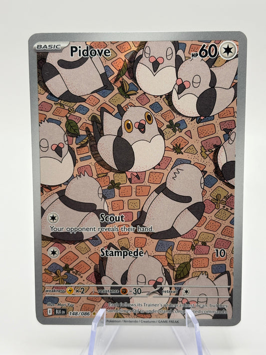 Pokemon TCG Black Bolt - Pidove 148/086 Illustration Rare NM FRENLY BRICKS - Open 7 Days