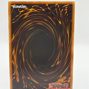 Yu-Gi-Oh! Montage Dragon TDGS-EN014 Ultra Rare Unlimited LP FRENLY BRICKS - Open 7 Days