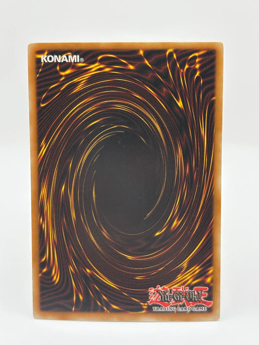 Yugioh Insect Queen CT1-EN005 Secret Rare Limited Edition LP FRENLY BRICKS - Open 7 Days