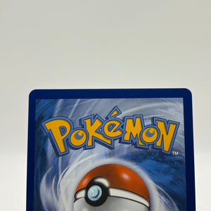 Pokemon TCG Mega Phantasmal Flames - Dewgong 097/094 Illustration Rare NM FRENLY BRICKS - Open 7 Days