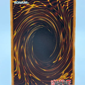 YUGIOH NEO-SPACIAN DARK PANTHER SUPER RARE POTD-EN005 1ST ED NM FRENLY BRICKS - Open 7 Days