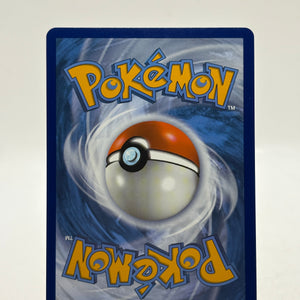 Pokemon TCG Sword Shield Promos - Pikachu V SWSH061 Promo NM FRENLY BRICKS - Open 7 Days