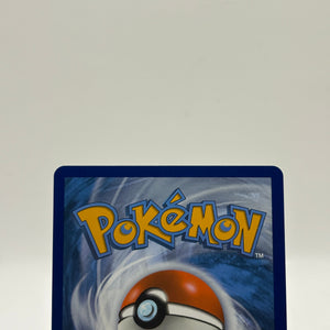 Pokemon TCG Sword Shield Promos - Pikachu V SWSH061 Promo NM FRENLY BRICKS - Open 7 Days