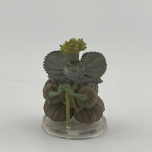 Dungeon's & Dragons Pre Painted Miniature Collections set of 4 +combinedshipping FRENLY BRICKS - Open 7 Days