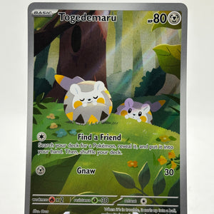 Pokemon TCG Phantasmal Flames - Togedemaru 104/094 Illustration Rare NM FRENLY BRICKS - Open 7 Days