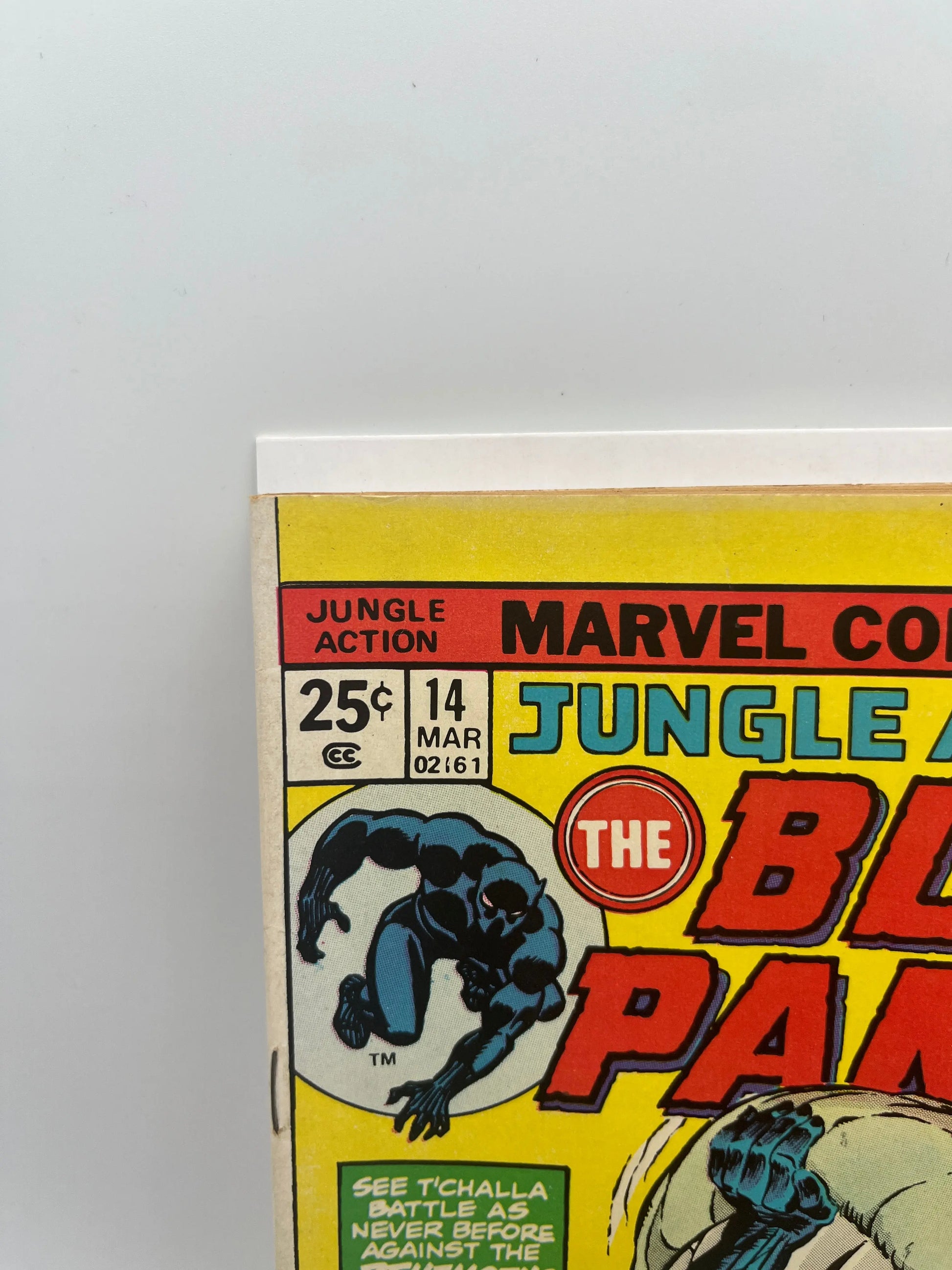 Marvel Comic Group JUNGLE ACTION #14 The BLACK PANTHER 1975 +combinedshipping FRENLY BRICKS - Open 7 Days