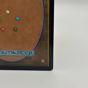 Magic The Gathering - Kitsa, Otterball Elite Mythic BLB #0304 Near Mint FRENLY BRICKS - Open 7 Days