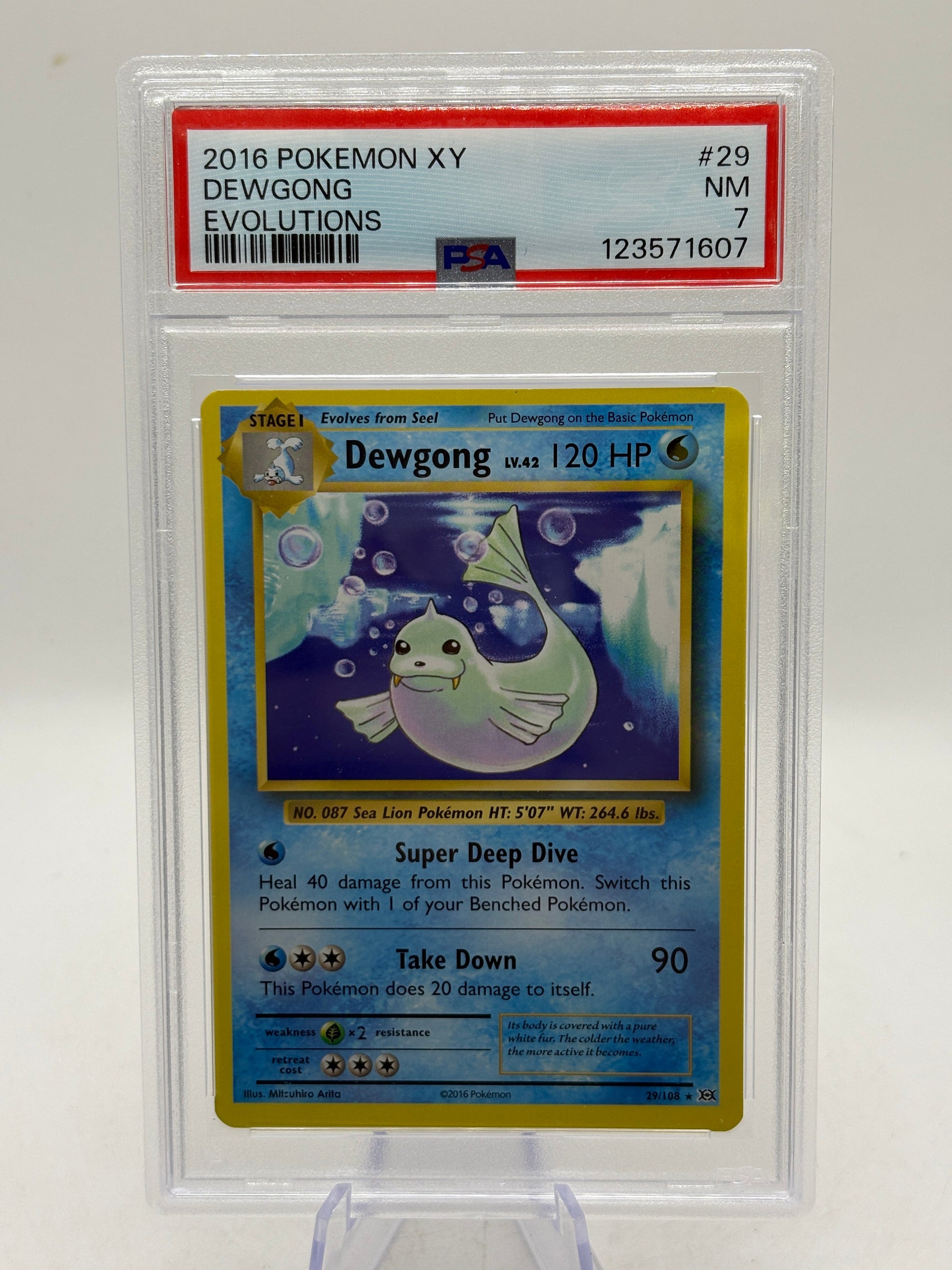Pokemon TCG XY Evolutions - Dewgong 29/108 Rare Non Holo PSA 7 FRENLY BRICKS - Open 7 Days
