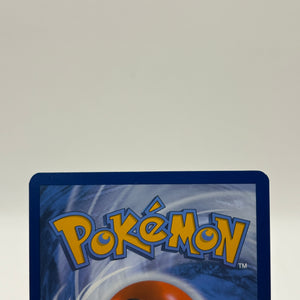 Pokemon TCG SV Surging Sparks - Phanpy 205/191 Illustration Rare Nm FRENLY BRICKS - Open 7 Days