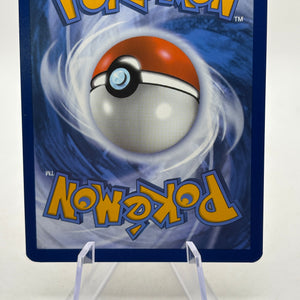 Pokemon TCG SV Surging Sparks - Phanpy 205/191 Illustration Rare Nm FRENLY BRICKS - Open 7 Days