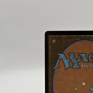 Magic The Gathering - Ygra, Eater Of  All Borderless M #0294 BLB Nm FRENLY BRICKS - Open 7 Days