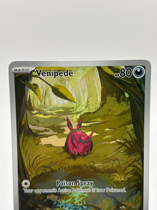 Pokemon TCG Black Bolt - Venipede 132/086 Illustration Rare NM FRENLY BRICKS - Open 7 Days