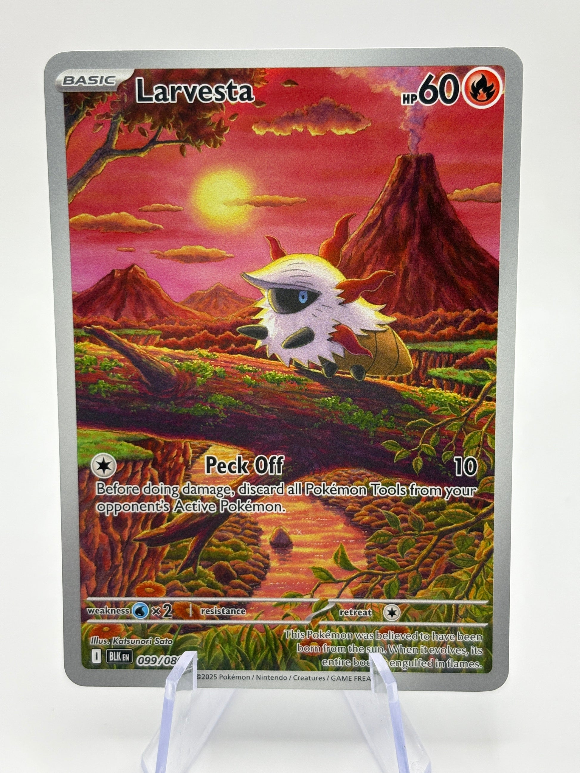 Pokemon TCG Black Bolt - Larvesta 099/086 Illustration Rare NM FRENLY BRICKS - Open 7 Days