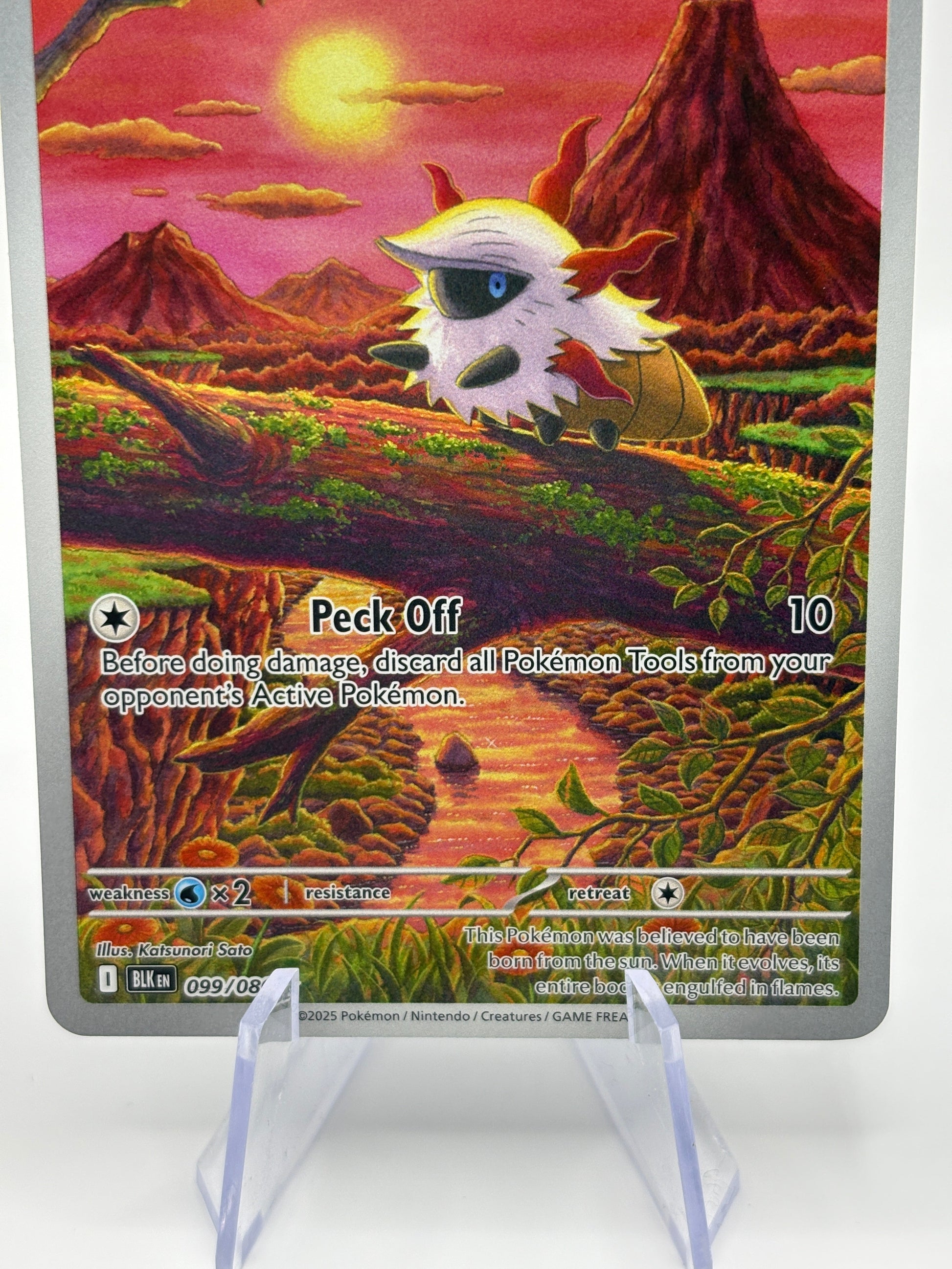 Pokemon TCG Black Bolt - Larvesta 099/086 Illustration Rare NM FRENLY BRICKS - Open 7 Days