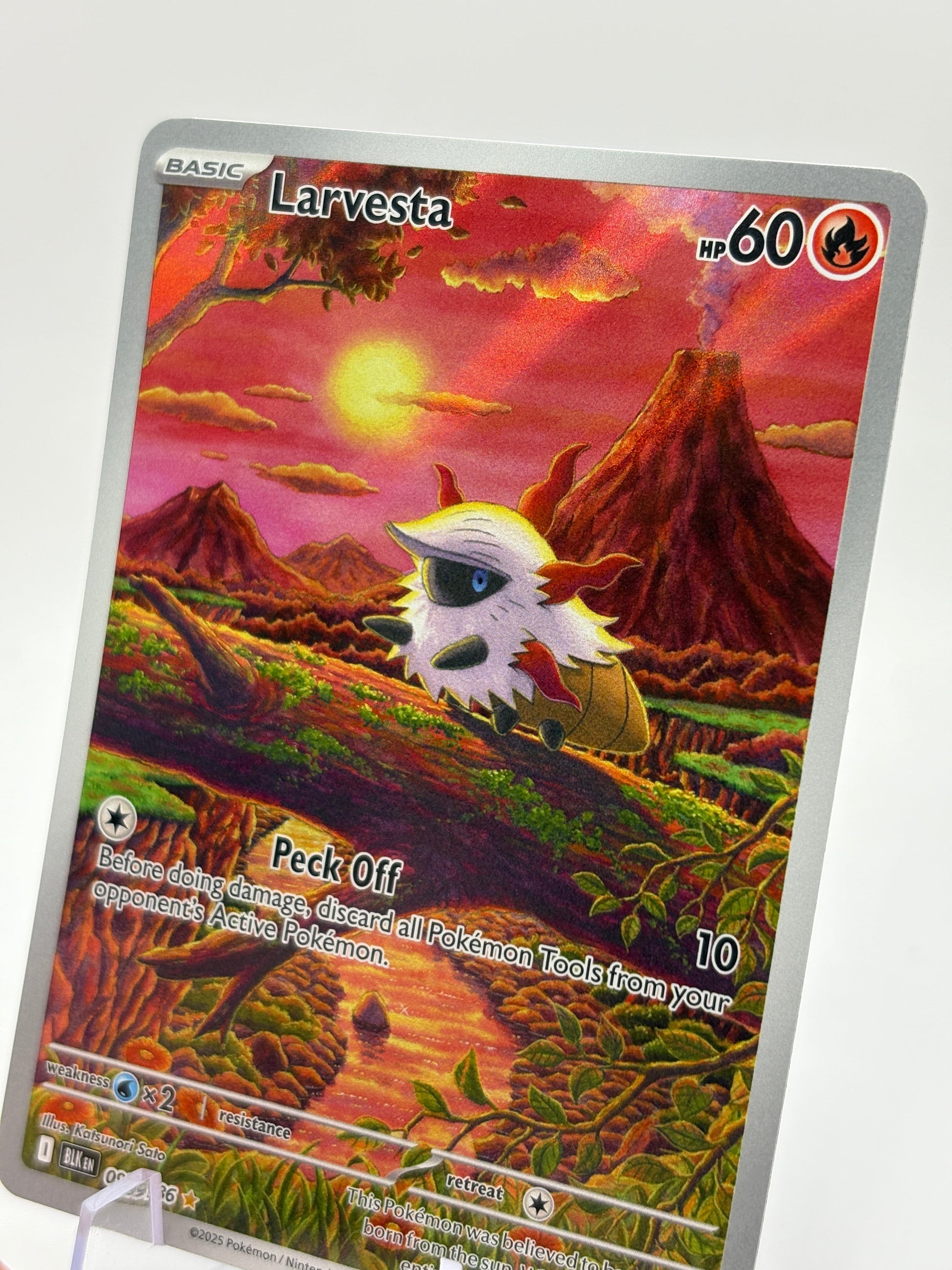 Pokemon TCG Black Bolt - Larvesta 099/086 Illustration Rare NM FRENLY BRICKS - Open 7 Days