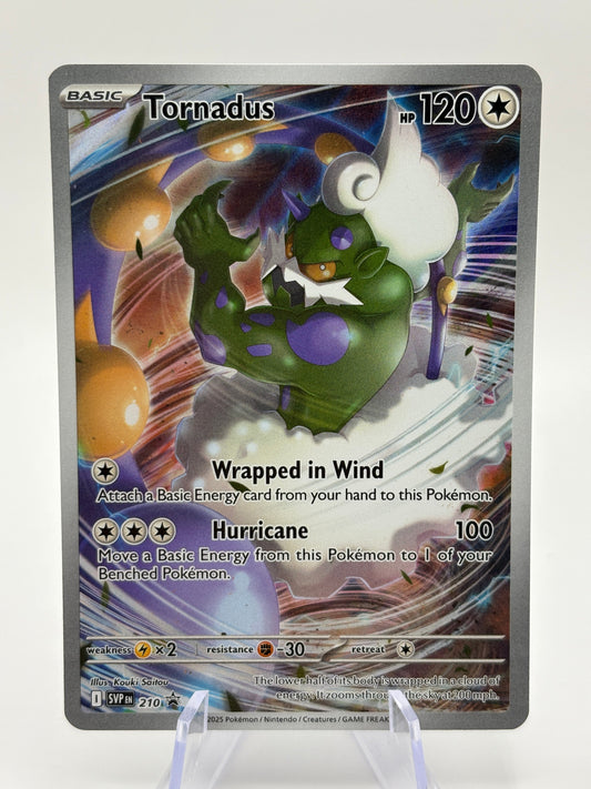 Pokemon TCG SVP Promos - Tornadus SVP 210 Black Star Illustration Promo NM FRENLY BRICKS - Open 7 Days