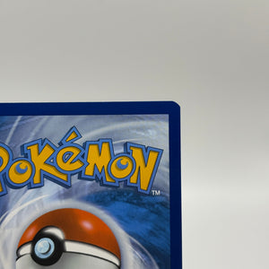 Pokemon TCG SVP Promos - Tornadus SVP 210 Black Star Illustration Promo NM FRENLY BRICKS - Open 7 Days