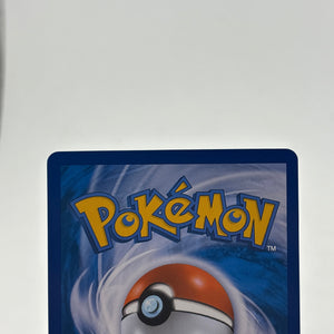 Pokemon TCG Korean Sun Moon 9 - Wailord & Magikarp GX Tag Team 019/095 LP (1) FRENLY BRICKS - Open 7 Days