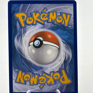 Pokemon TCG XY Promos - Venusaur EX XY123 Black Star Promo Mp FRENLY BRICKS - Open 7 Days