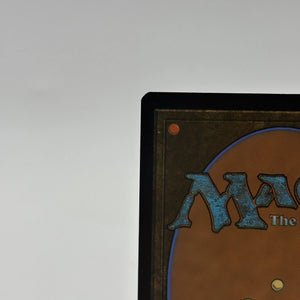 Magic The Gathering - Roaming Throne Borderless R #0344 LCI NM FRENLY BRICKS - Open 7 Days